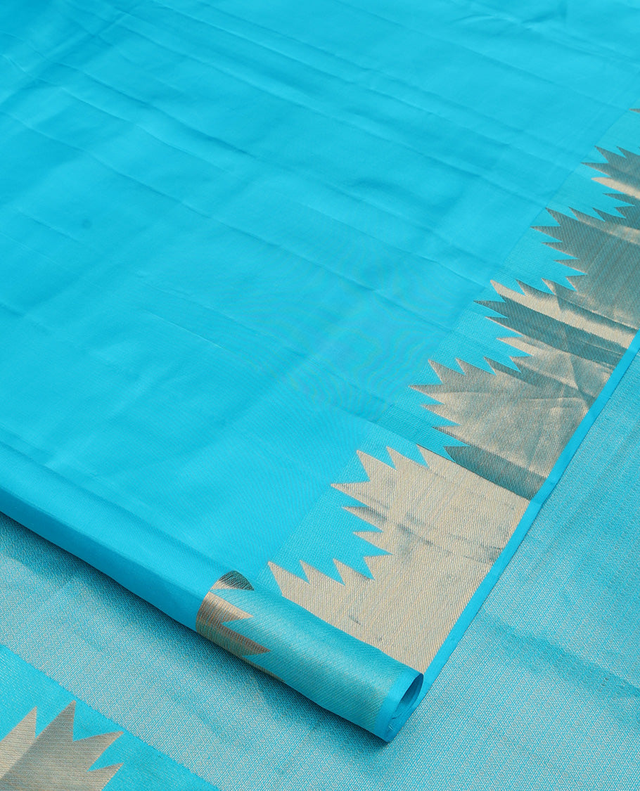 Sky blue plain Kanchipuram silk saree, thazampoo rekku zari border, and pallu of mayil kann
