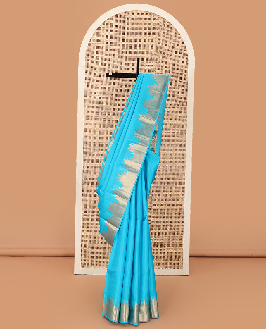 Sky blue plain Kanchipuram silk saree, thazampoo rekku zari border, and pallu of mayil kann