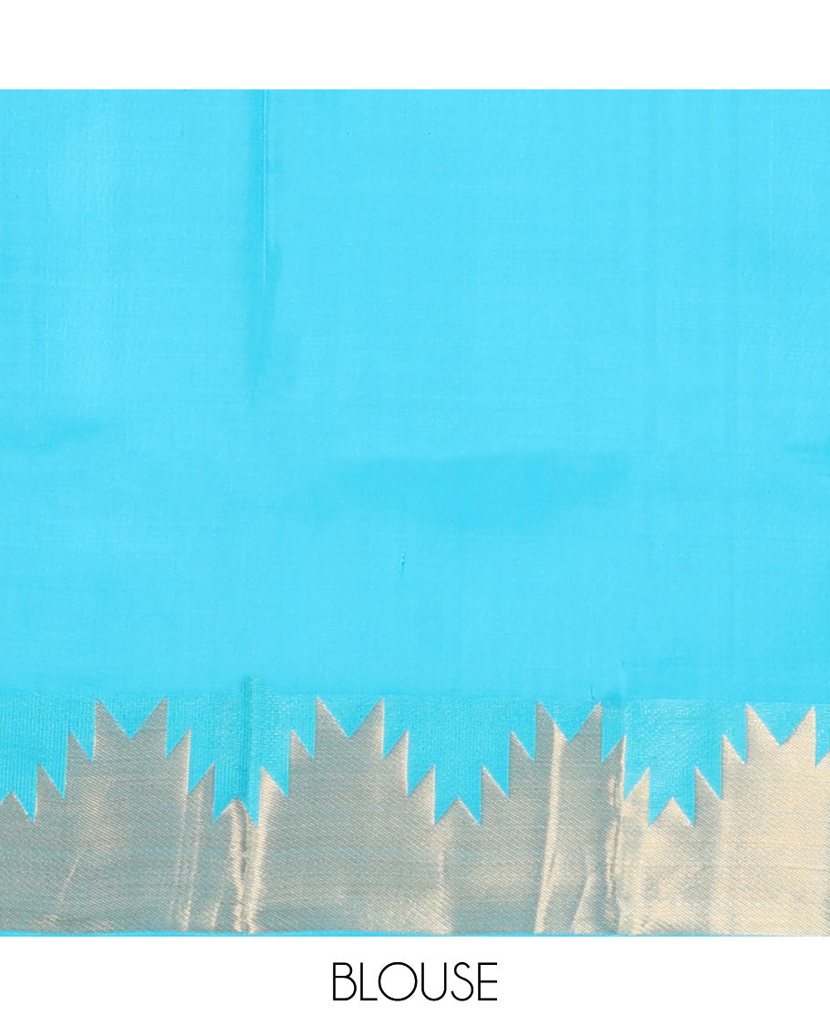 Sky blue plain Kanchipuram silk saree, thazampoo rekku zari border, and pallu of mayil kann