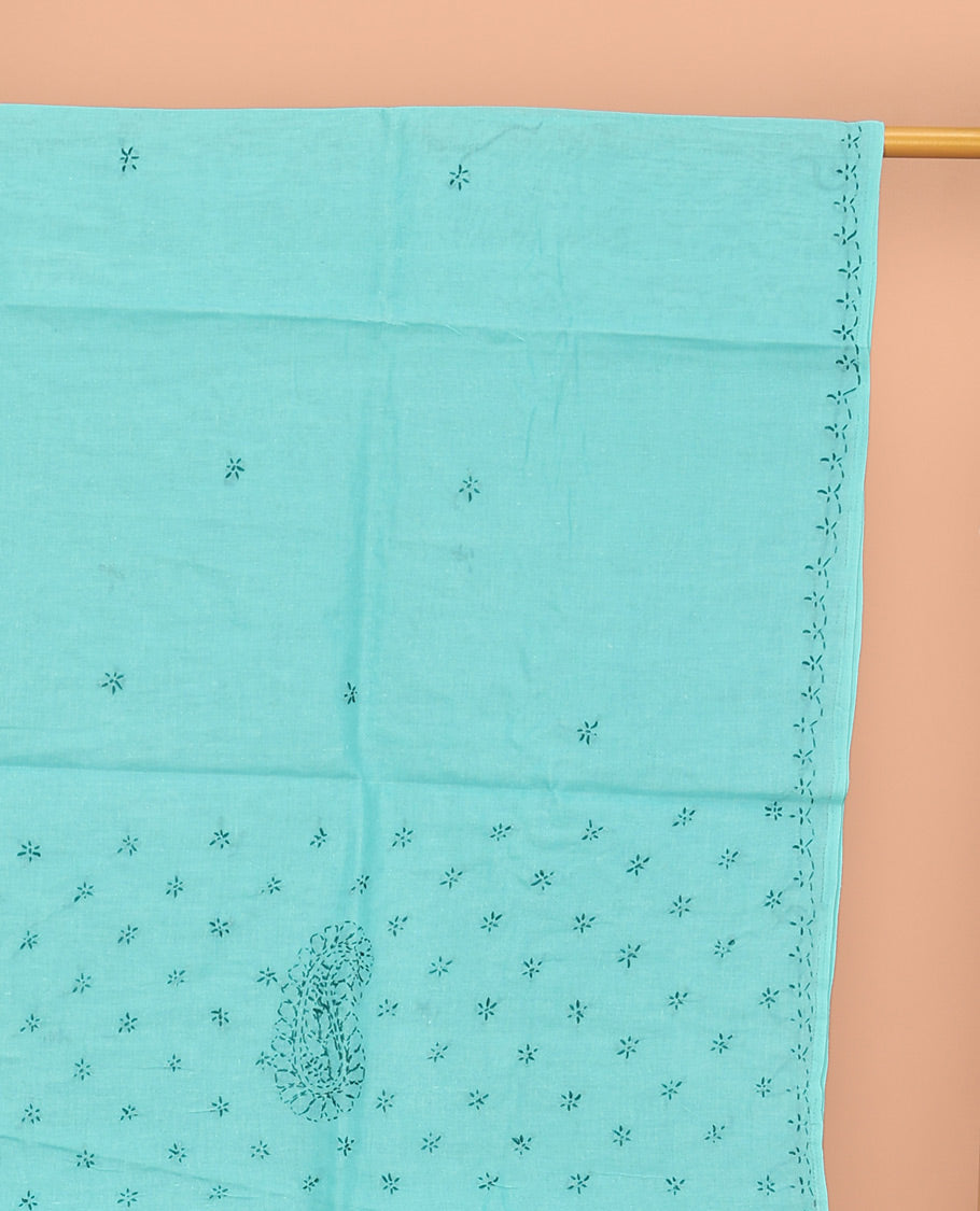 Turquoise Lucknowi Chikankari Saree