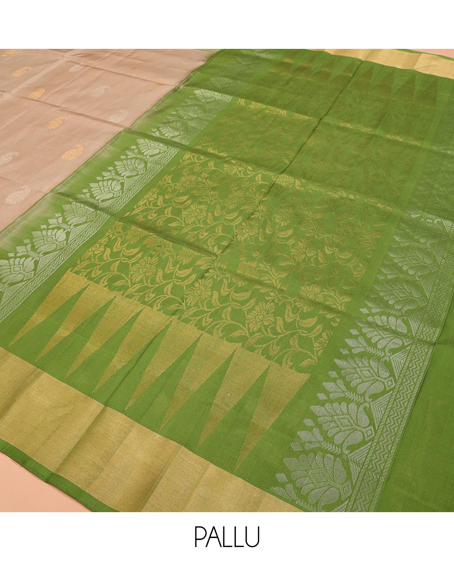 Chiku Color Uppada Silk Saree Adorned with Paisley Buttas, Subtle Contrast Border of Temple Gopuram Motifs, Captivating Pallu Featuring Floral Jaal Design, and Paired with a Contrast Blouse
