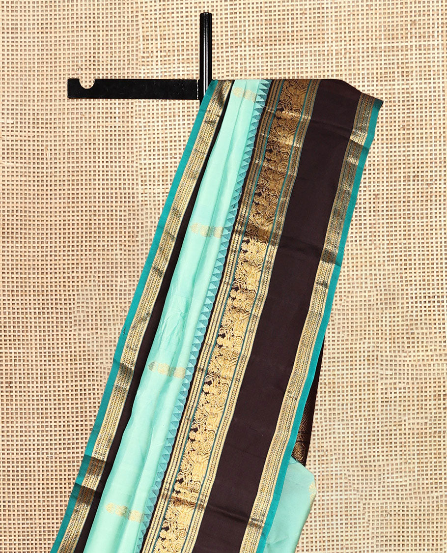 Rexsona Green and Navapalam Vasundhara Silk Saree