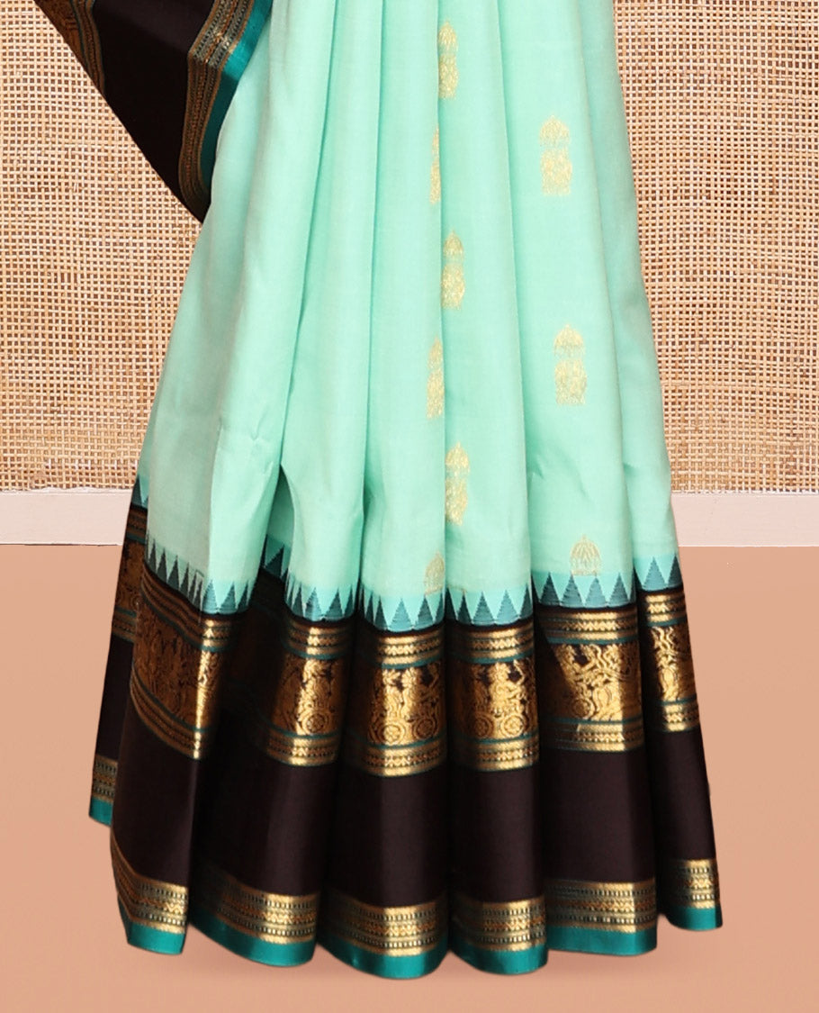 Rexsona Green and Navapalam Vasundhara Silk Saree