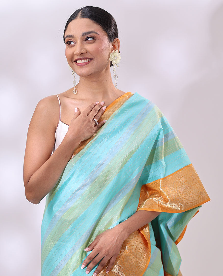 Multi-color striped kancheepuram silk saree with contrast border of banaras, kathir, horse design & intricate zari design pallu