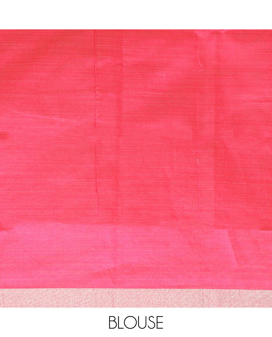 Grey floral embroidered chirala cotton saree, plain border, and contrast printed pallu