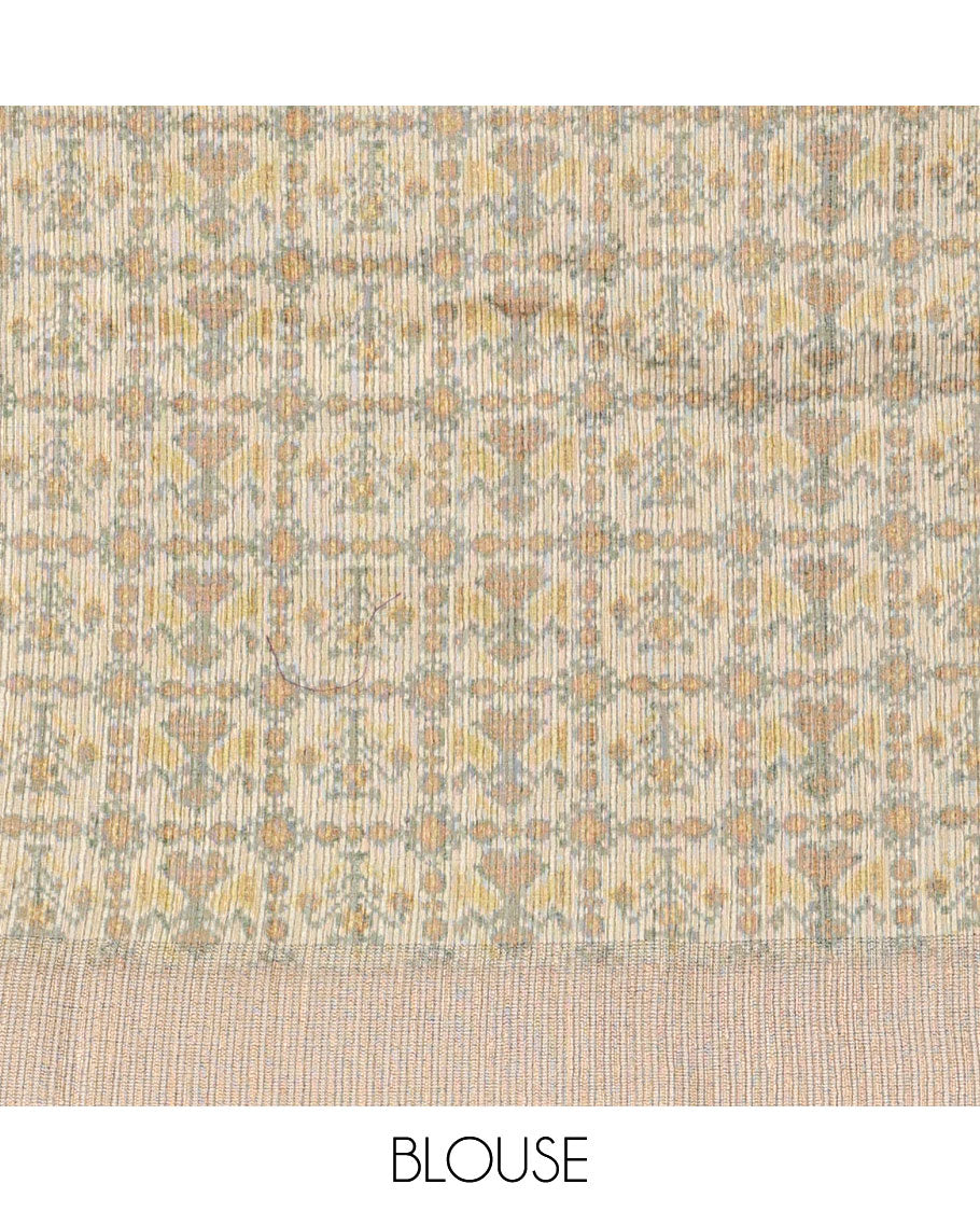 Pastel Multi-Color Fancy Tussar Saree, Subtly Sparkled with Checked Designs Printed on Its Body, Complemented by Contrast Textured Border, Patola Printed Pallu, and Paired with a Matching Printed Blouse