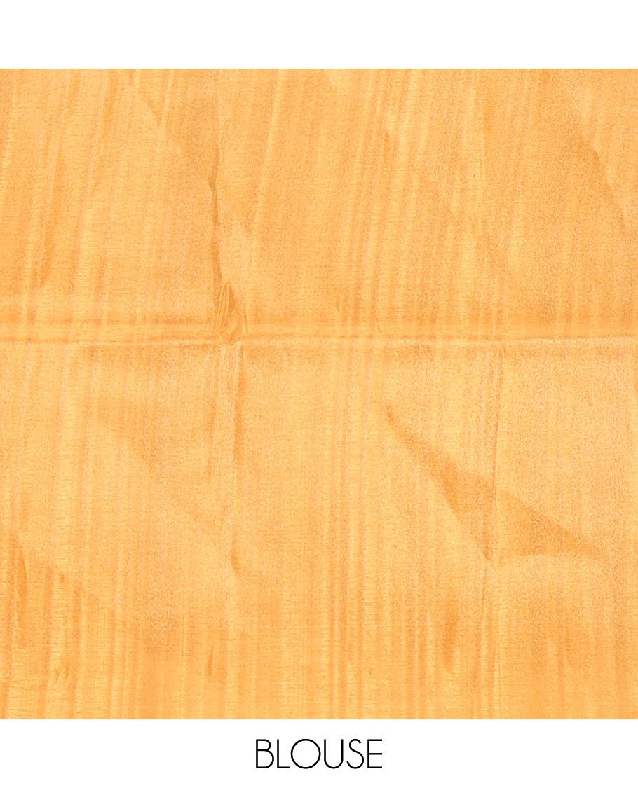 Chikku-yellow floral vine printed tissue patola saree, contrast striped border, pallu of floral and Pichwai cow motifs print, and a plain blouse