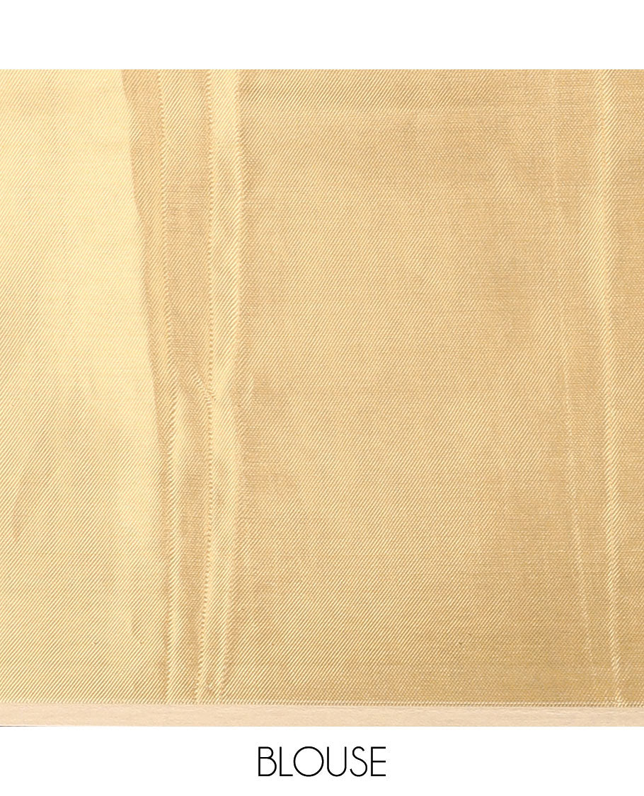 Gold zari tissue saree with self border & rich pallu along with plain blouse