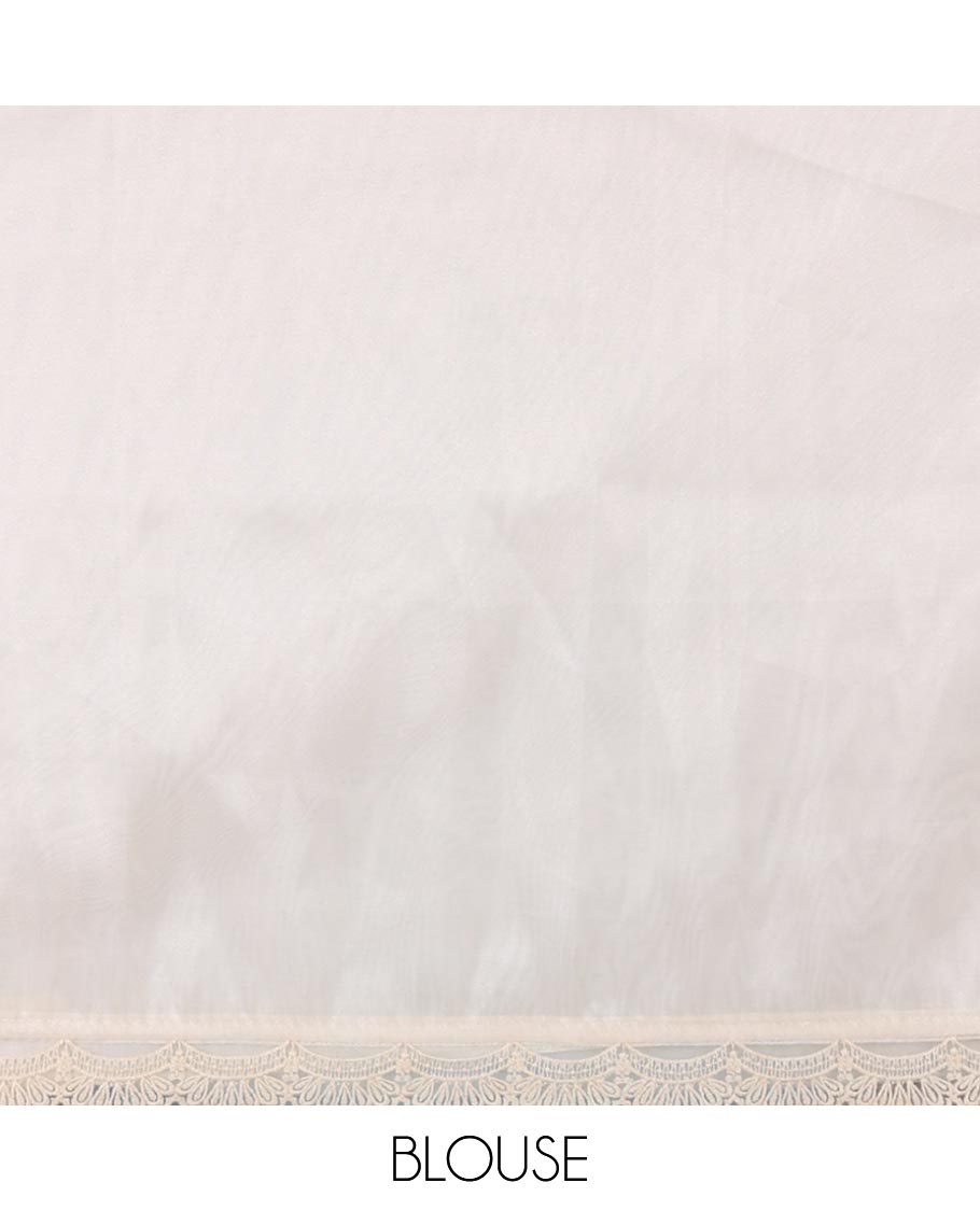 Off-White polka dots embroidered organza silk saree, scallop lace work border, and a matching lace bordered blouse