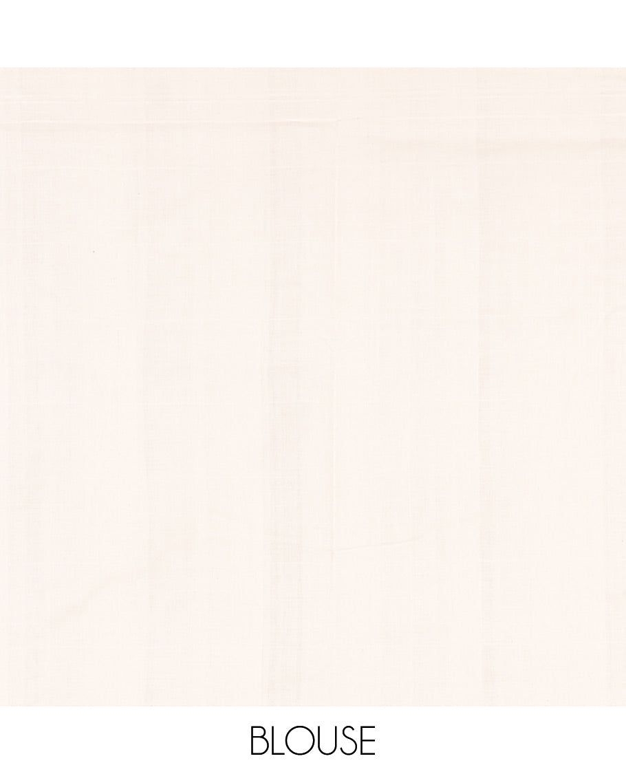 Black and white checked blocks patterned ikkat cotton saree, contrast plain border, striped pallu, and contrast plain blouse