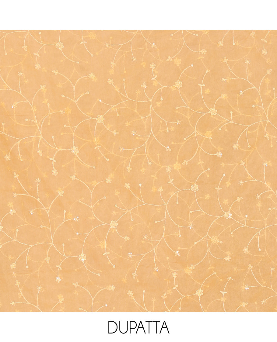Golden Chikku Organza Material Churidar, Intricately Printed Outlined Embroidery Top, a Matching Bottom, and a Floral Embroidered Dupatta
