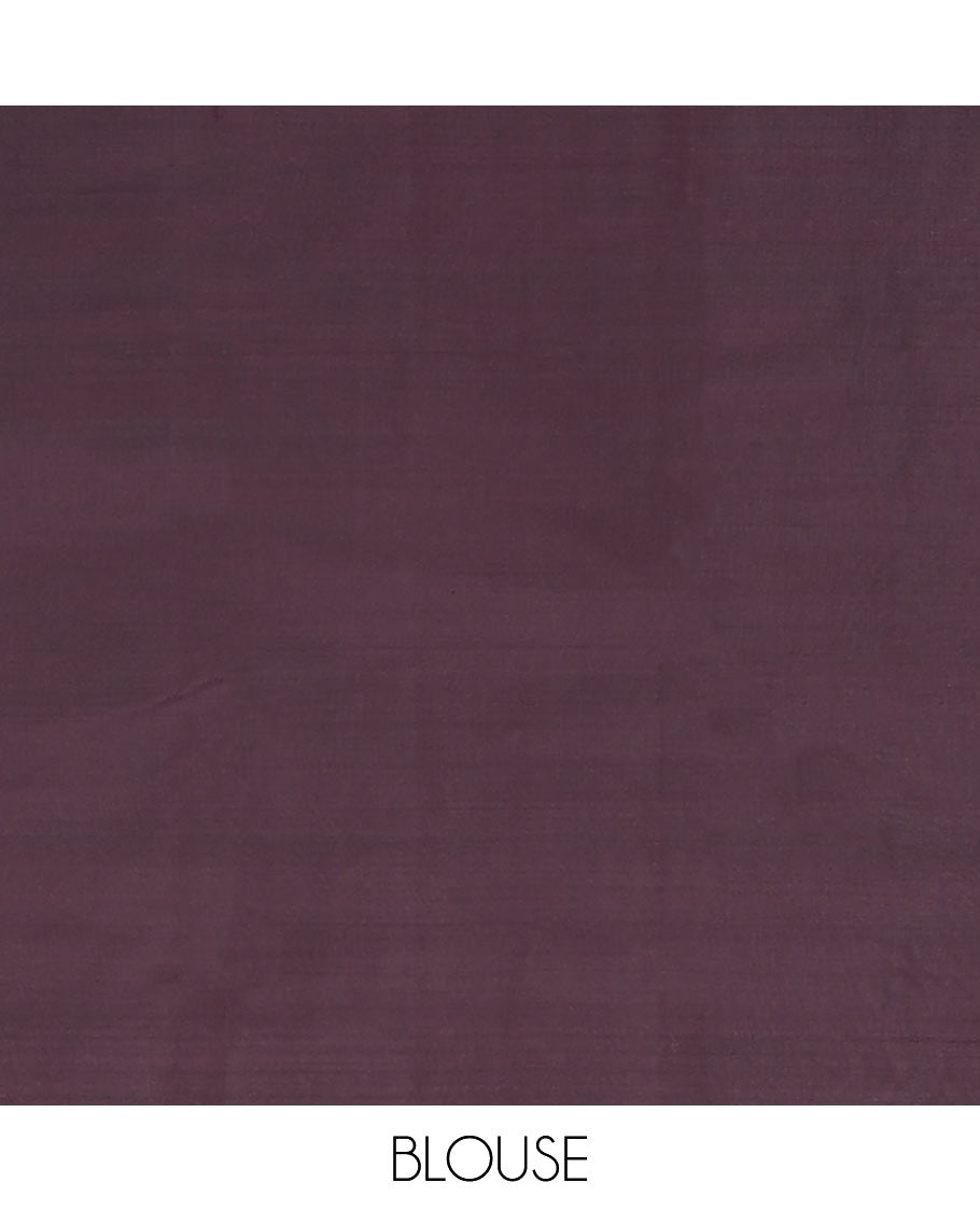 Brown Vasundhara Lite-Silk Mix Saree Woven with Zari Designs, Subtly Sparked with Intricately Designed Border, Elevated with Ogee Patterned Pallu, and a Matching Plain Blouse