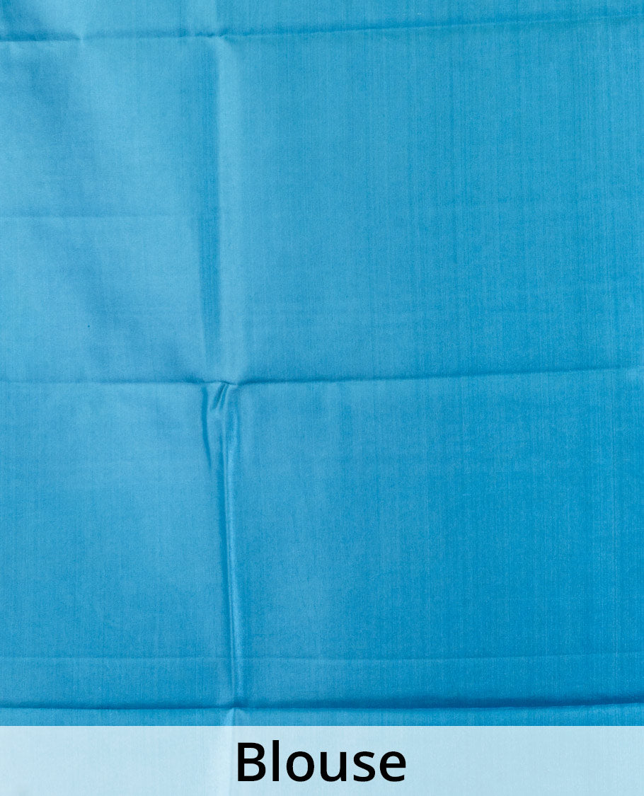 Blue floral vine printed silk saree, contrast border, and pallu of chevron stripes print