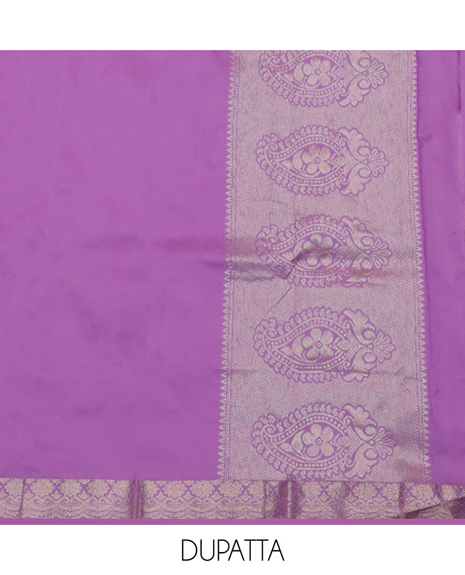 Light Rust Art Silk Material Half-Saree Set, Embellished with Warli-Theme Jacquard Skirt, Complemented by Contrast Traditional Zari Border, Paired with a Jacquard Blouse, and Paisley Designs Woven Dhavani
