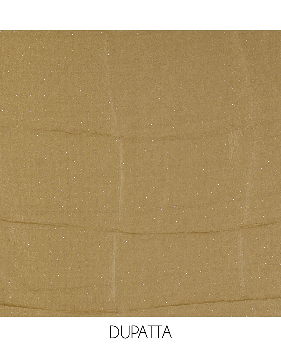 Green material chudidar set, stone work moss organza top, a matching bottom, and scallop stone work moss organza dupatta