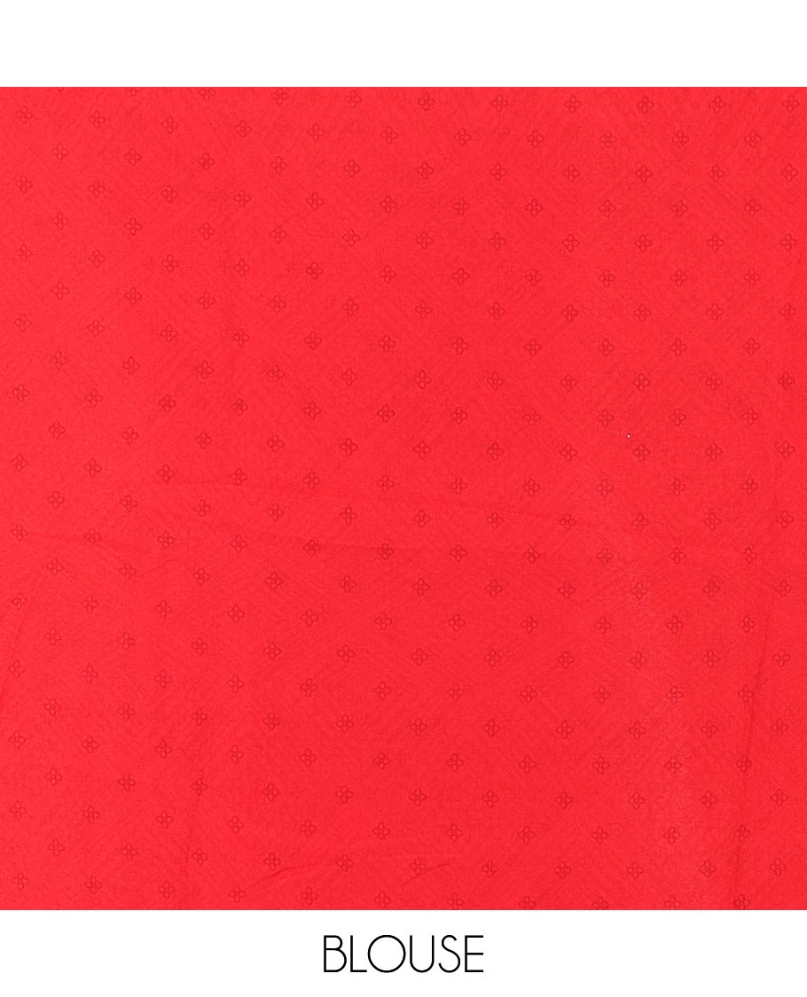 Red Georgette Saree, Decked Up with Diamond Printed All Over Its Body, a Subtle Satin Border of Giraffe Foil Print, Geometric Printed Pallu, and Paired with a Matching Blouse