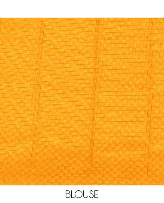 Borderless white floral design, thread embroidery kamala silk saree with contrast checked blouse