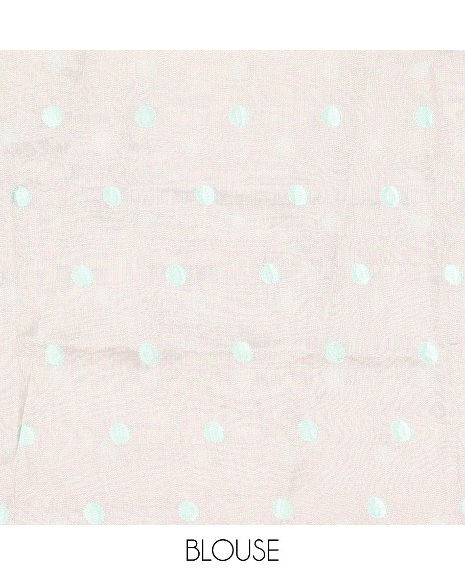 Sky Blue Turkey Organza Saree