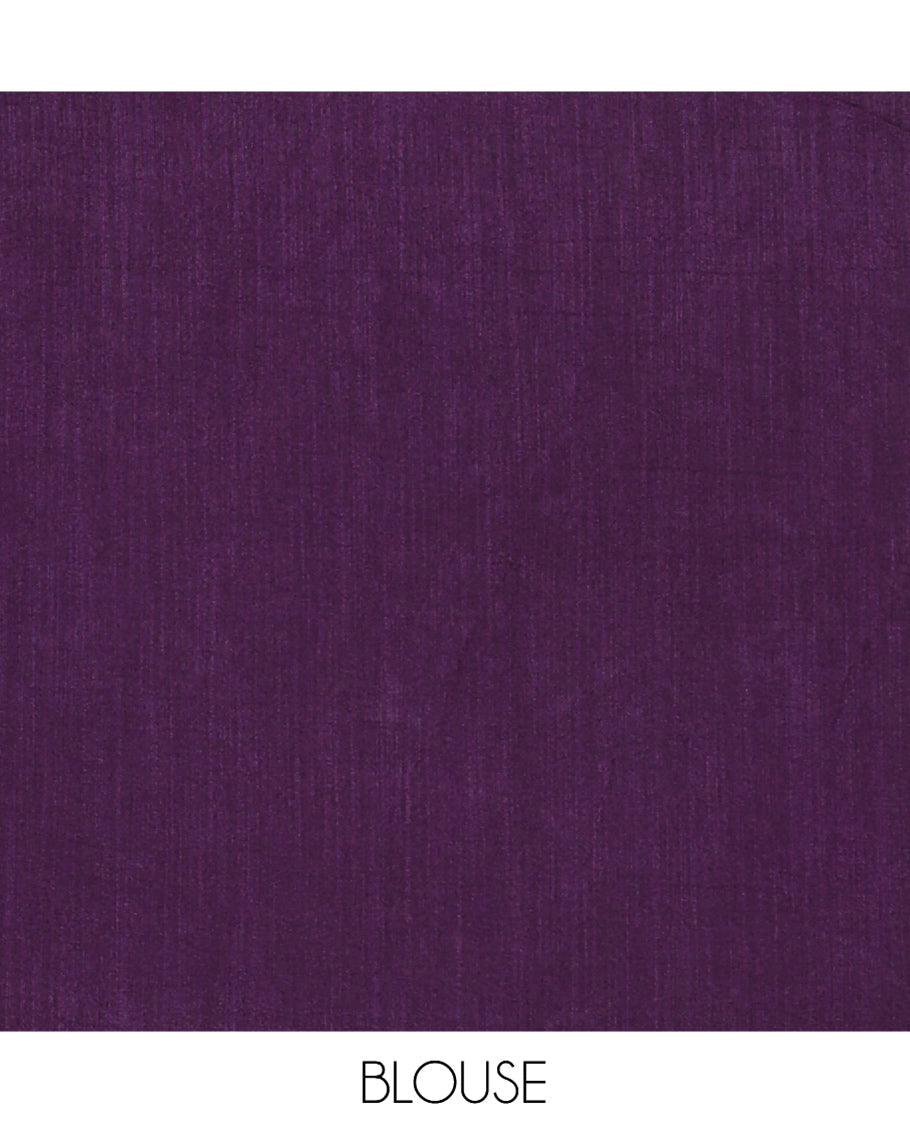 Borderless Purple Vichitra Saree Features Gleaming Sequin Work, and a Matching Blouse