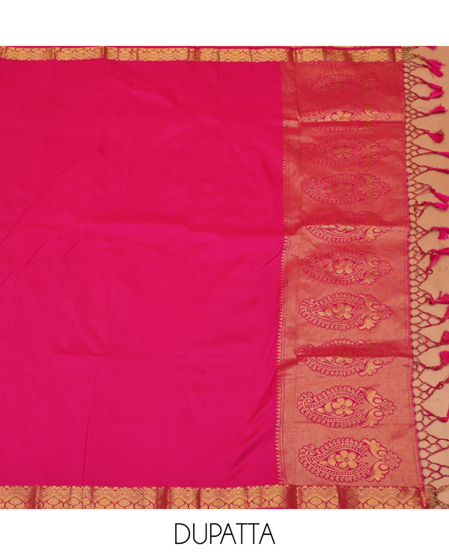 Grey Art Silk Material Half Saree, Richly Detailed with Jacquard Skirt, a Contrast Traditional Zari Border, Contrast Blouse, and an Intricate Dhavani