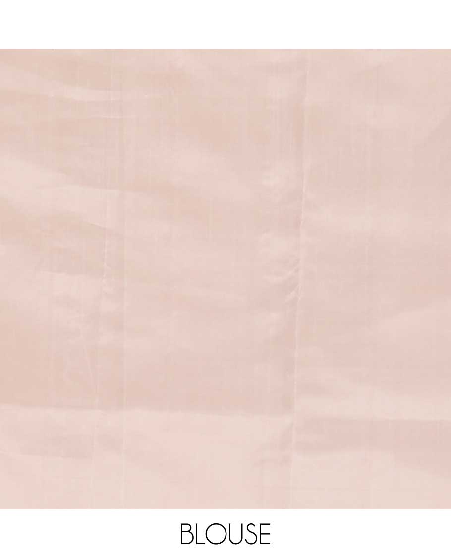 Grey floral buttas soft silk saree, contrast border of floral buttas, and jaal pallu