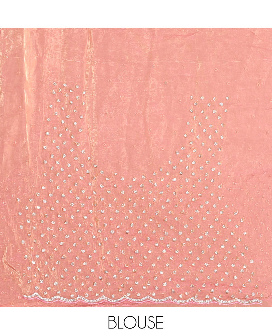 Pink Organza Glass Tissue Saree With Stonework, a Scallop Border, and a Matching Blouse