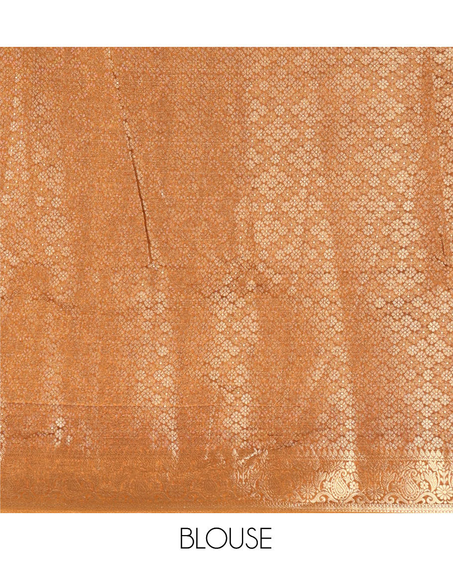 Golden Brown Fancy Tussar Saree, Floral-Paisley Border, Grand Pallu, a Contrast Printed Blouse, Matching Brocade Blouse