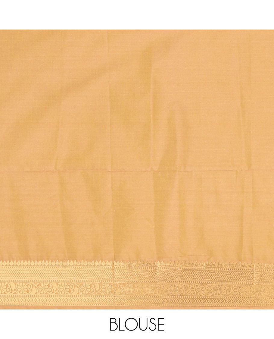 Light green floral motifs semi soft silk saree with contrast intricate zari design border & ogee design pallu