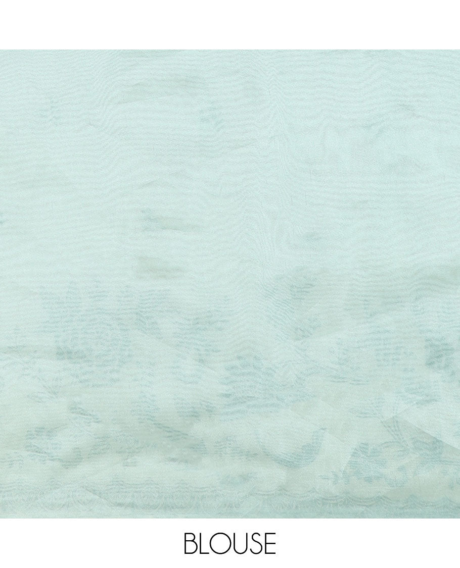 Pista green embroidered tissue organza saree with floral embroidery, scallop border & embroidery pallu along with embroidered blouse