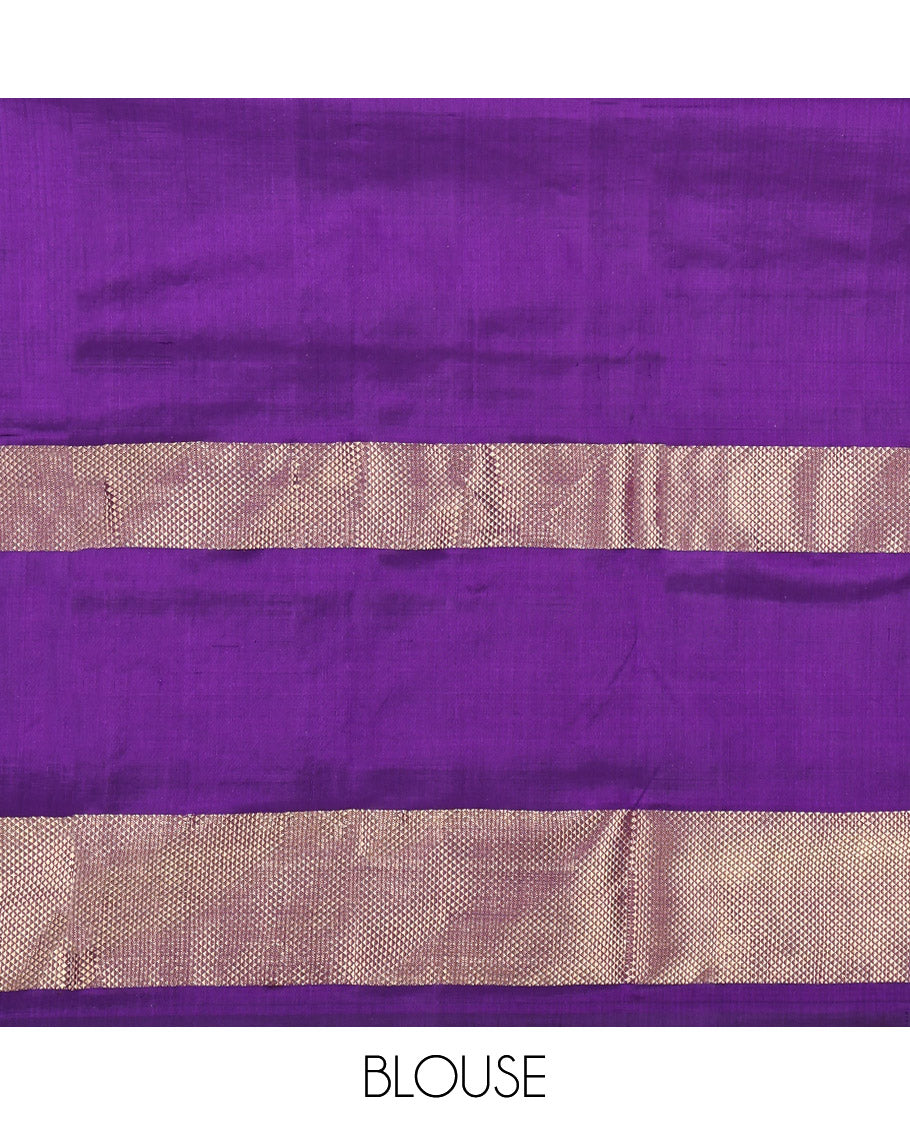 Orange Pochampally Ikat Silk Saree, Accentuated with Intricate Designs, a Contrast Border of Floral Creeper and Peacock-Eye Designs, Floral Creeper Pallu, and a Contrast Blouse