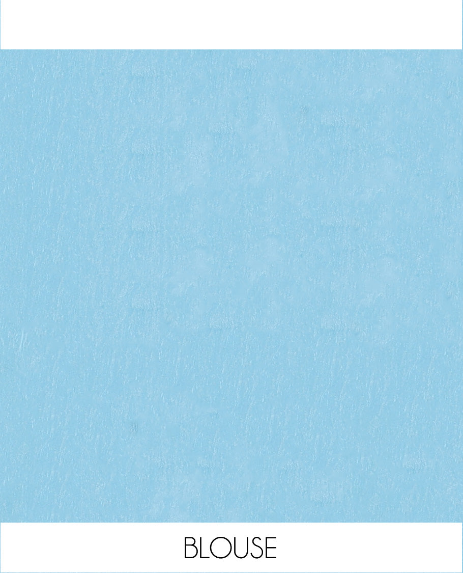 Blue floral motifs thread embroidered tissue saree, floral vine embroidered border, and pallu