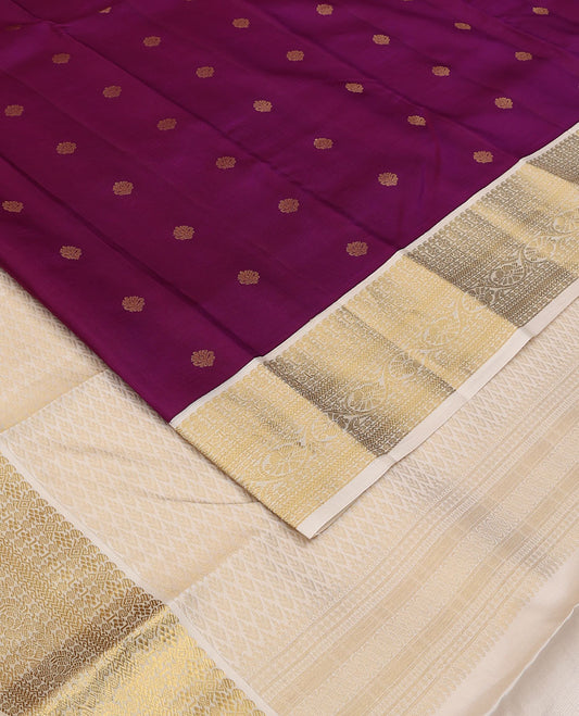 Purple zari buttas silksaree,contrast jaal pallu & border of manga,kamalam,poun,neli,kathir & kodi visiry