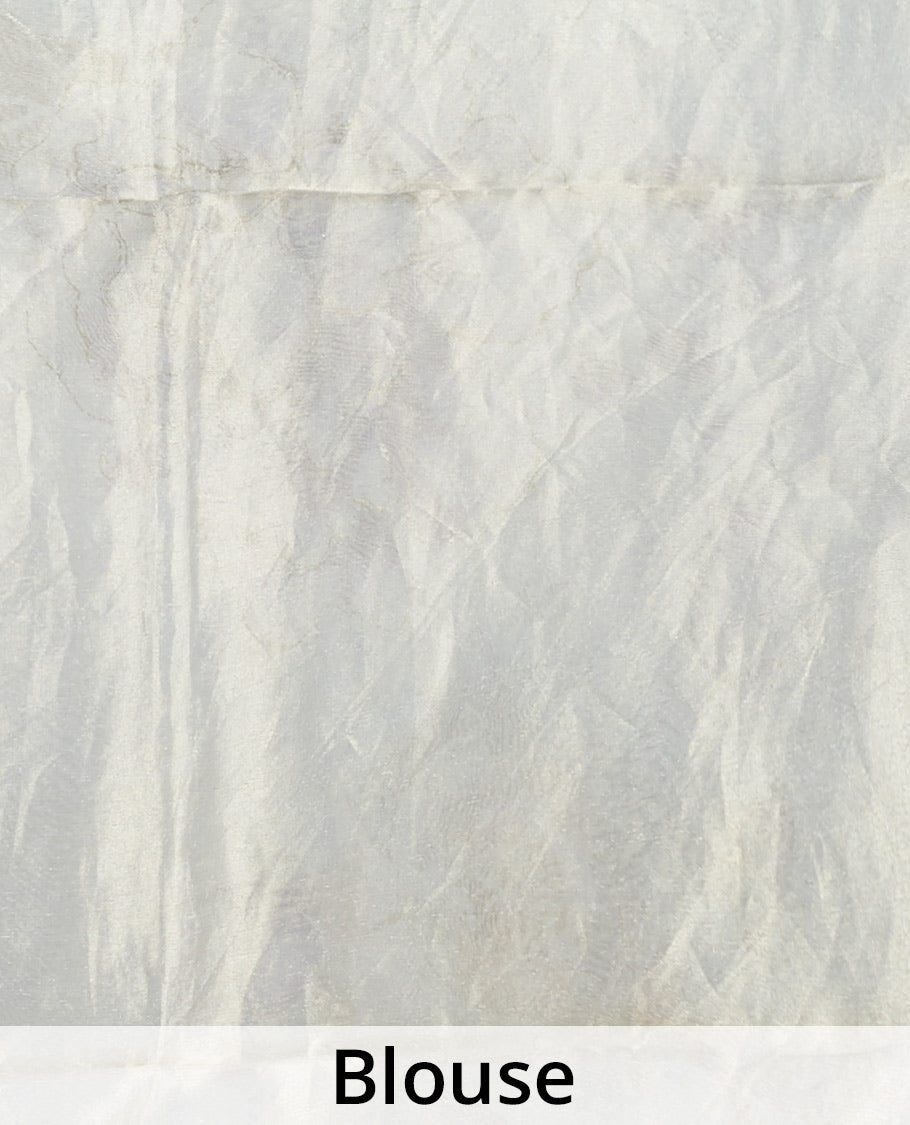 Borderless green floral printed & embroidered tissue silk saree