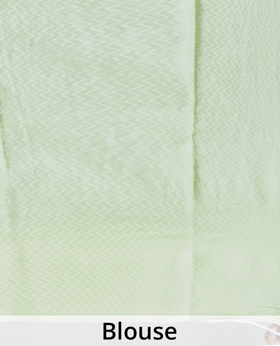 Green floral vine embroidered pure chiffon saree, chevron striped border