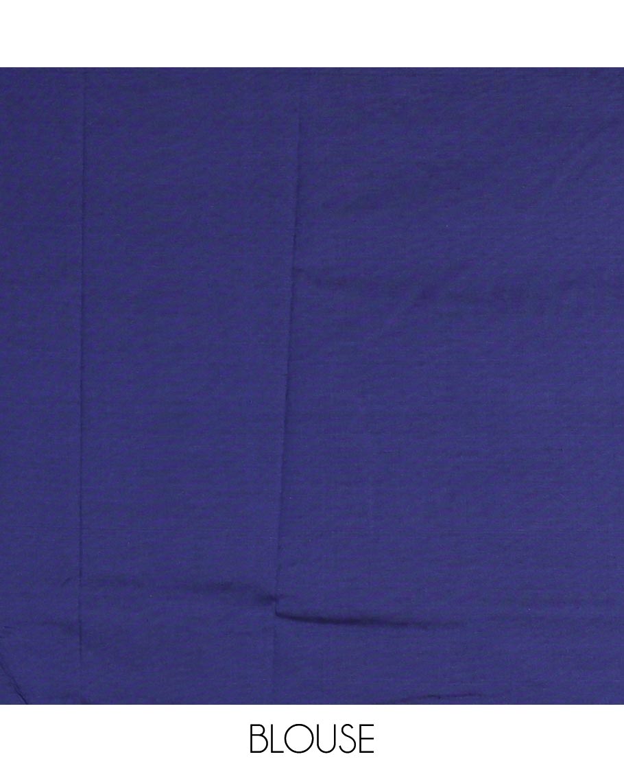 Blue floral buttas embroidered South cotton saree, embroidered border, embroidered pallu, and a matching blouse