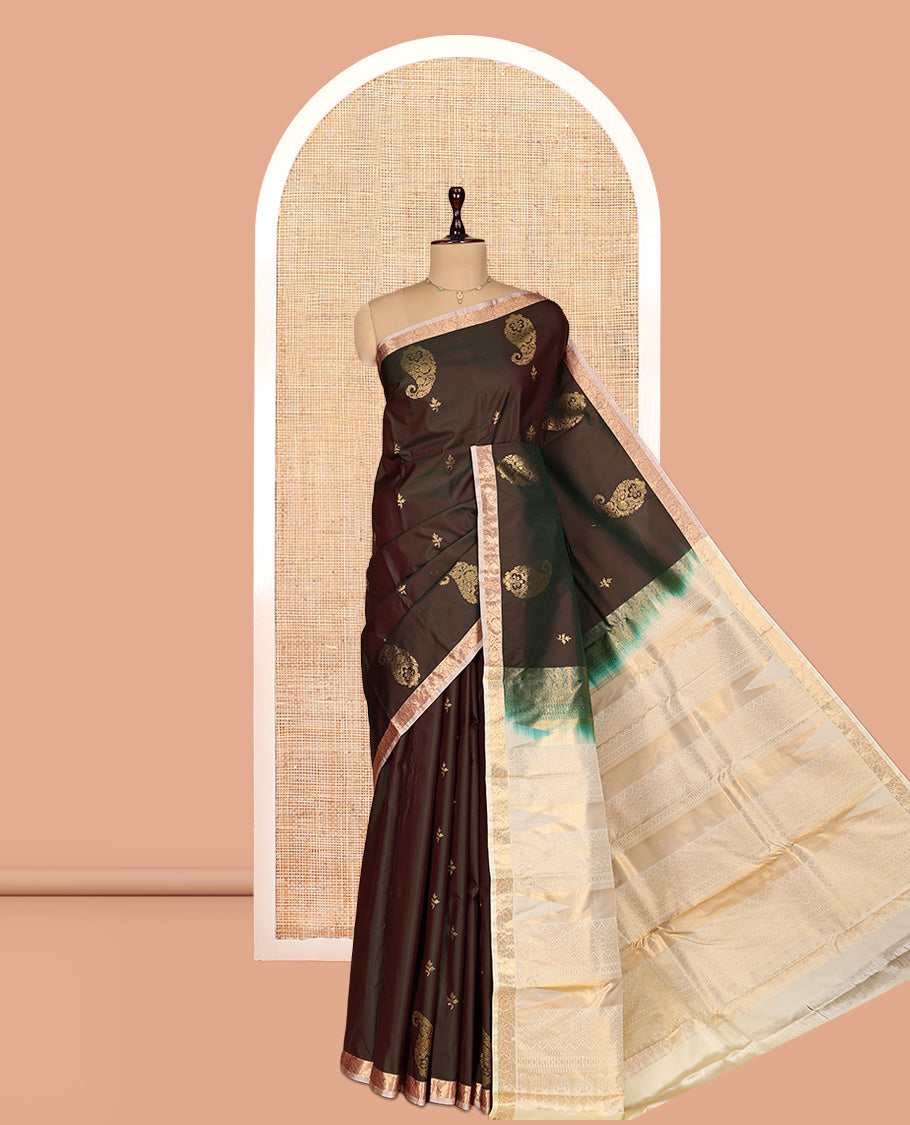 Brown Gift Saree
