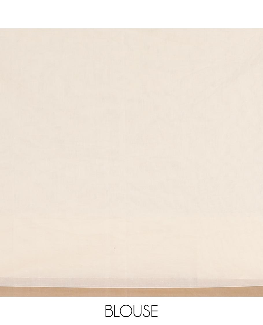 Cream bird motifs printed Handloom cotton saree, contrast piping border, pallu of bird motifs print, and a matching blouse