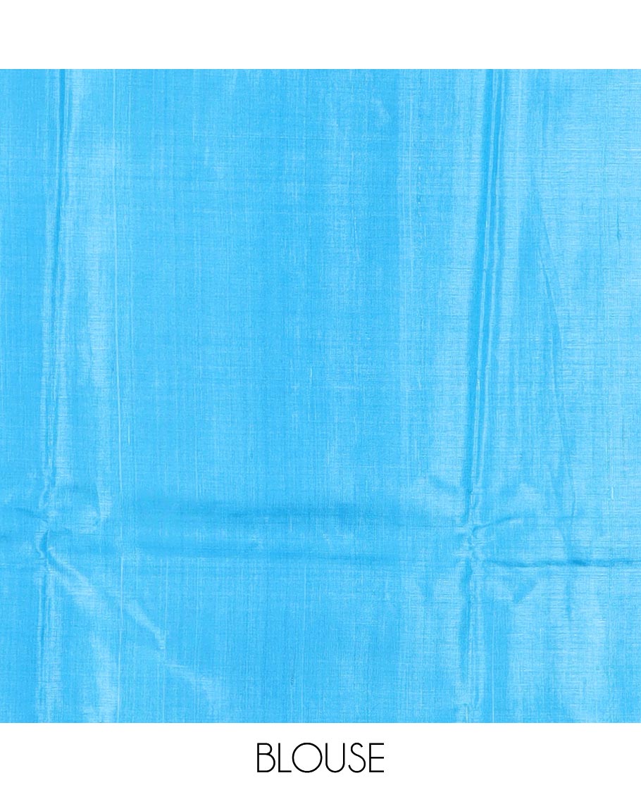 Sky blue plain tussar silk saree, self border and pallu features geometric patterns, and temple motifs