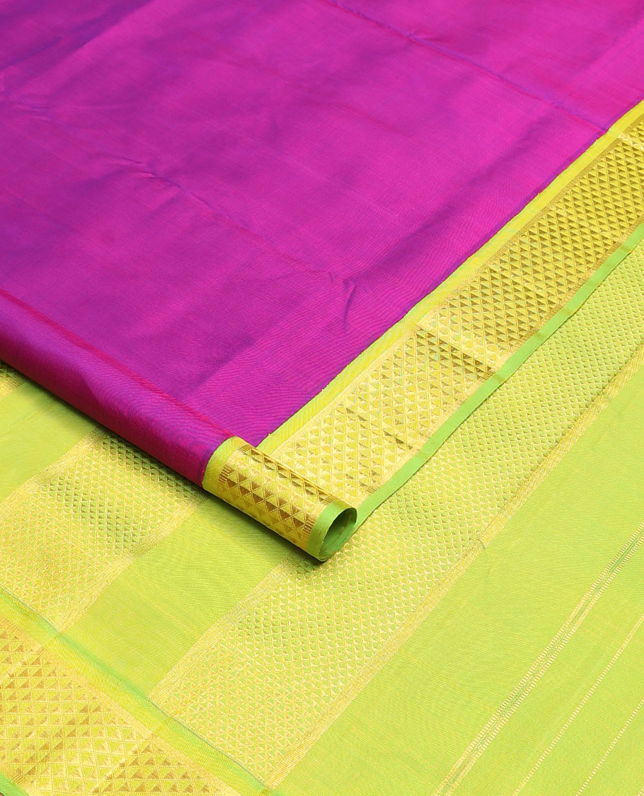 Purple plain nine-yard silk saree, contrast ara maadam design korvai border, and pallu of ara maadam designs