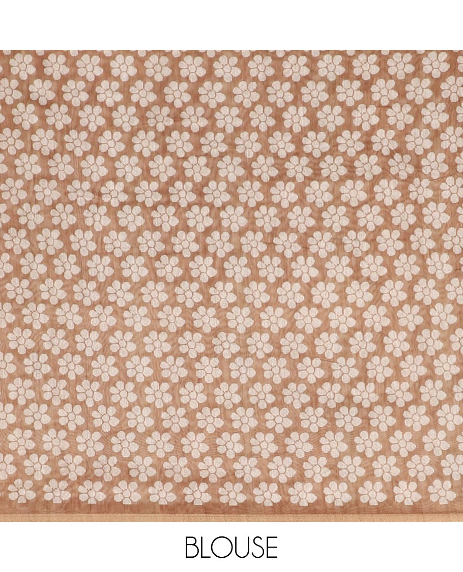 Brown plain Chanderi silk saree, floral vine, and sparrow motifs printed skirt border, and pallu, floral motifs printed blouse