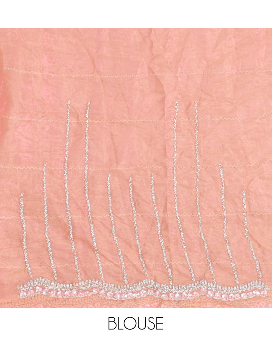 Pastel Pink Stone-Kardana Work Organza Designer Saree with a Scallop Embroidery Border, Matching Blouse