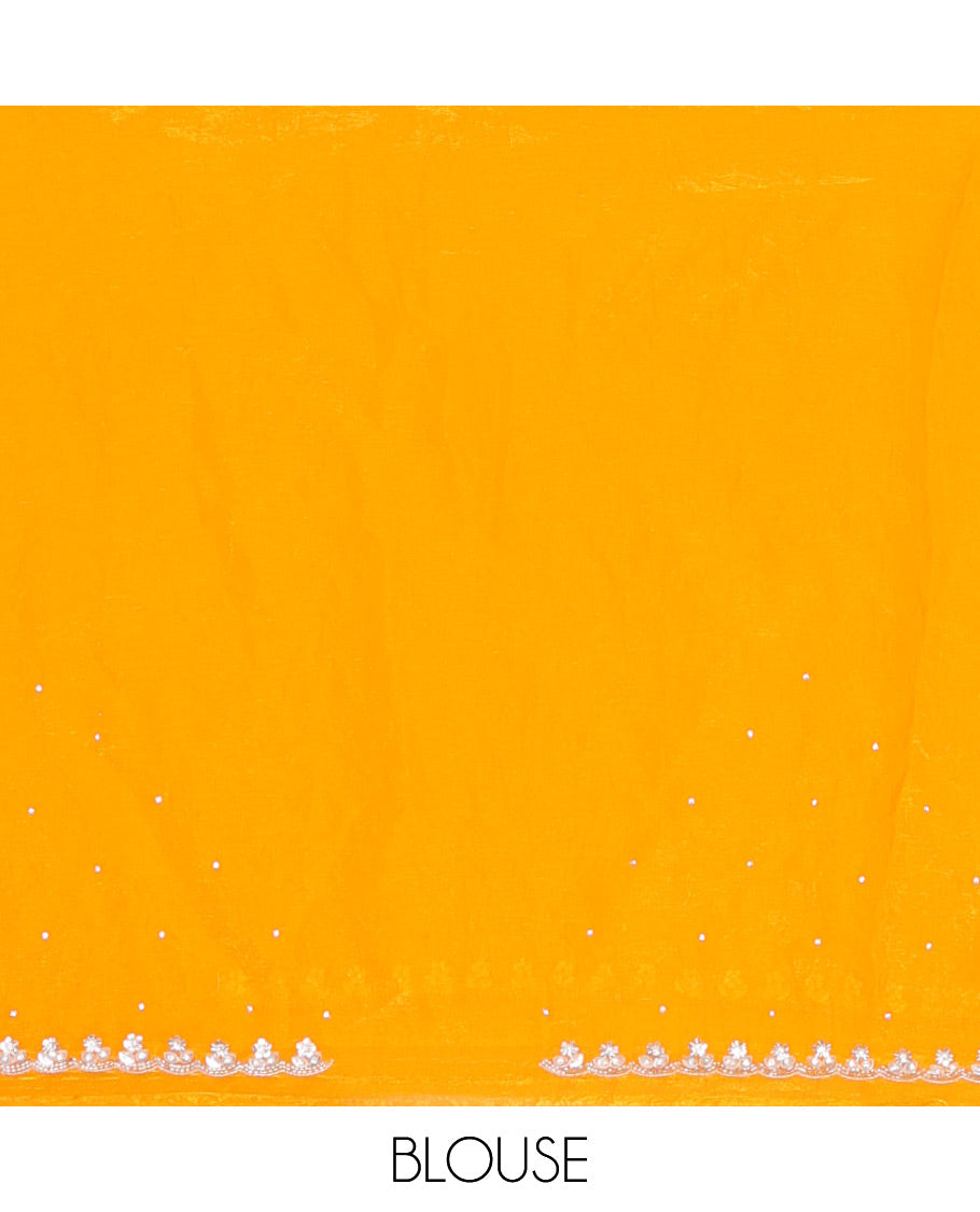 Orange stone embroidered motifs designer saree, scallop crystal stone embroidered border