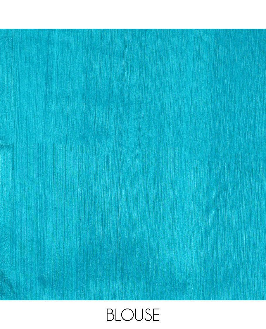 Borderless blue sequins embroidery and temple design, organza silk saree