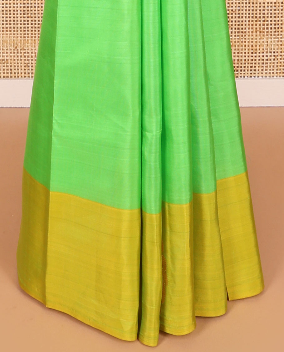 Light green kancheepuram silk sare with contrast floral design border & argyle design pallu