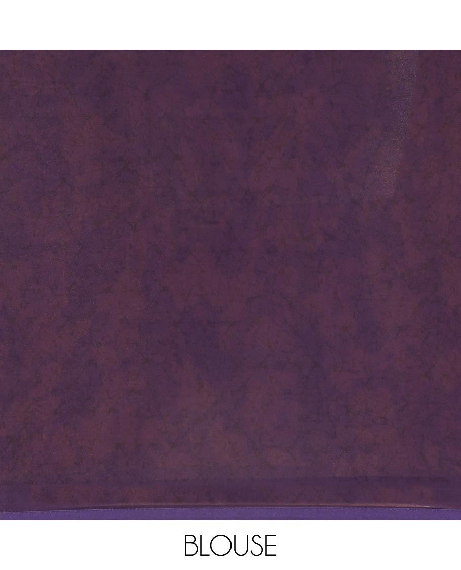 Purple Chiffon Saree Adorned with Silhouette-Style Floral Vine Print, Subtly Made Lace Border, Self-Printed Pallu, and Paired with a Plain Blouse