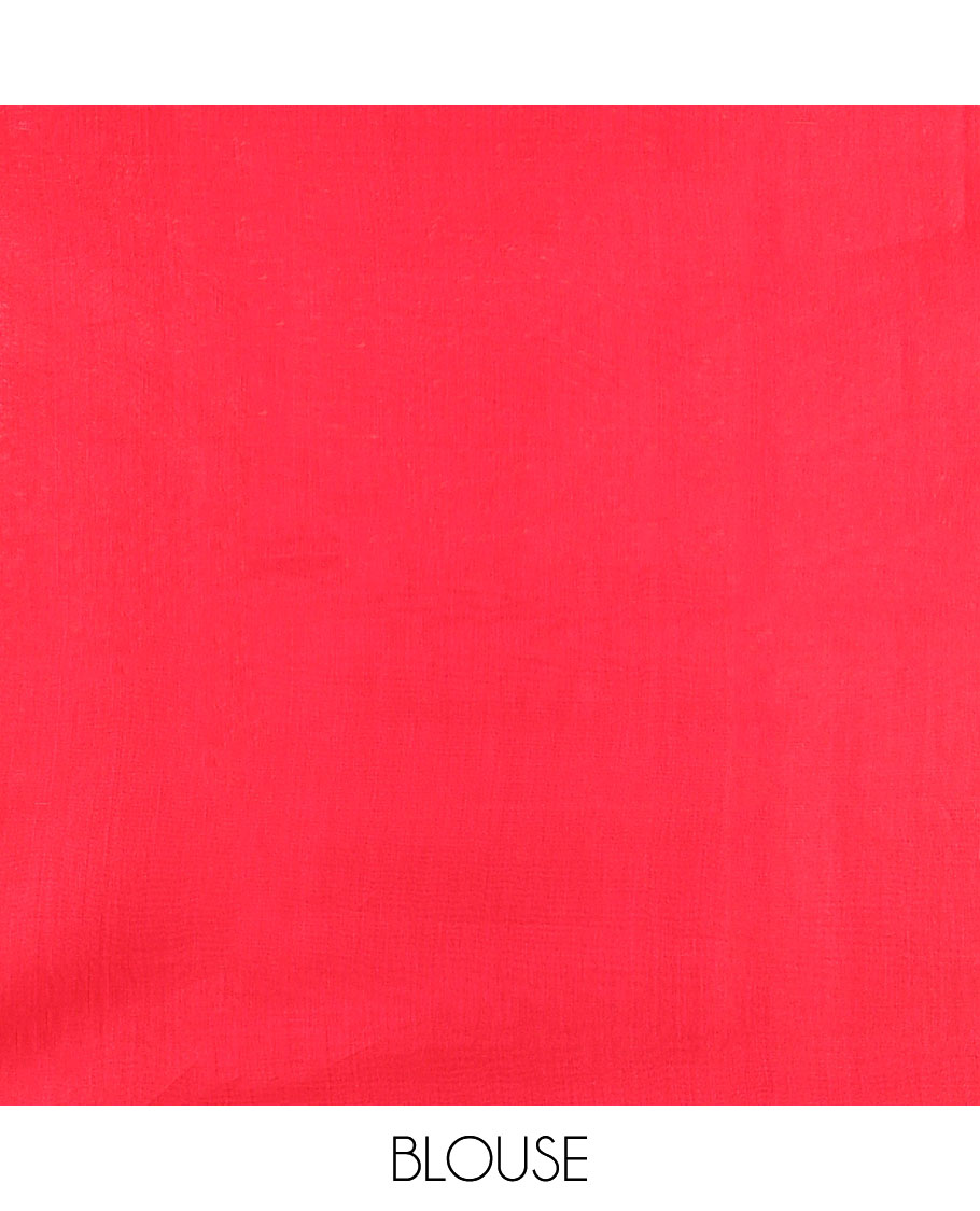 Borderless red striped silk cotton saree with geomteric design pallu