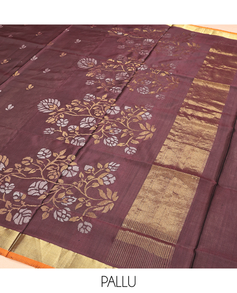 Brown Uppada Silk Saree, Decorated with Zari Buttas, a Contrast Bavanji Border, and Plain Blouse