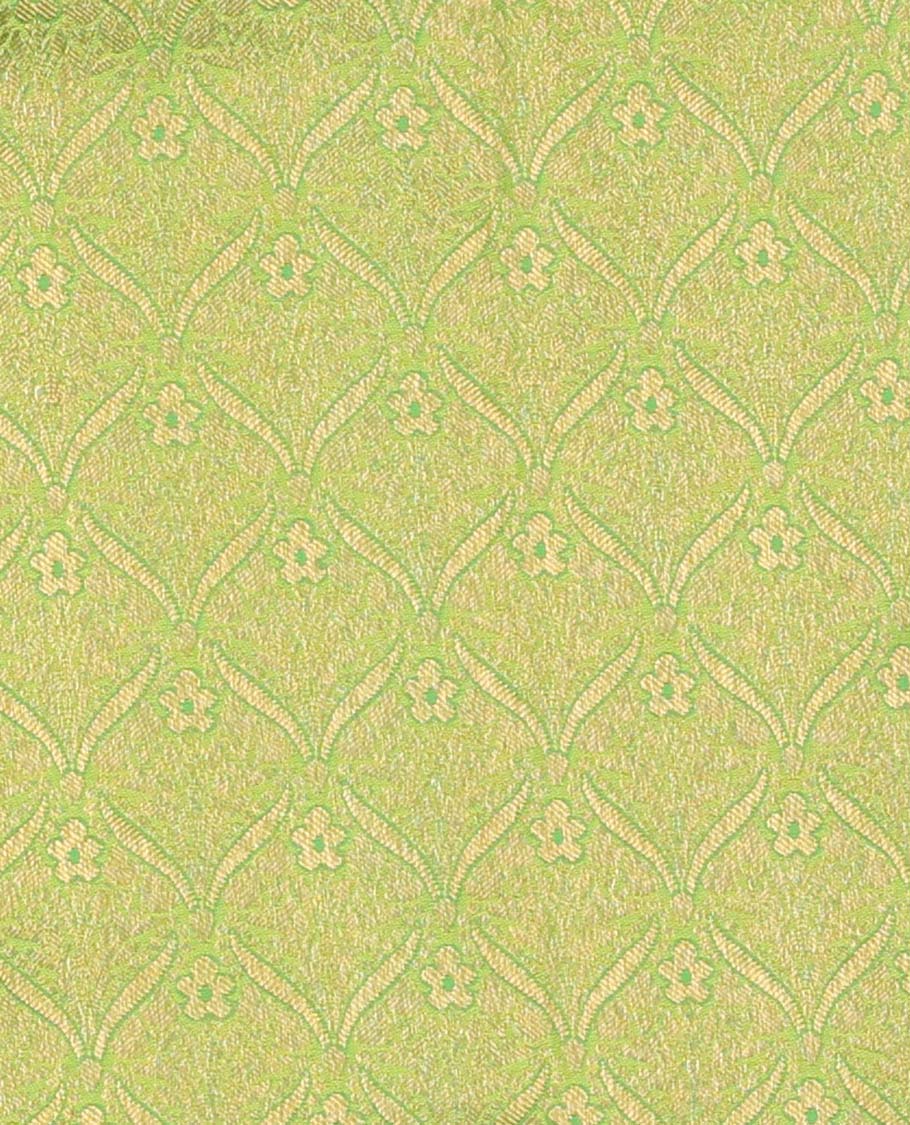 Green pure silk half-saree, jacquard with contrast traditional zari bordered skirt, contrast zari design blouse, and zari design dhavani