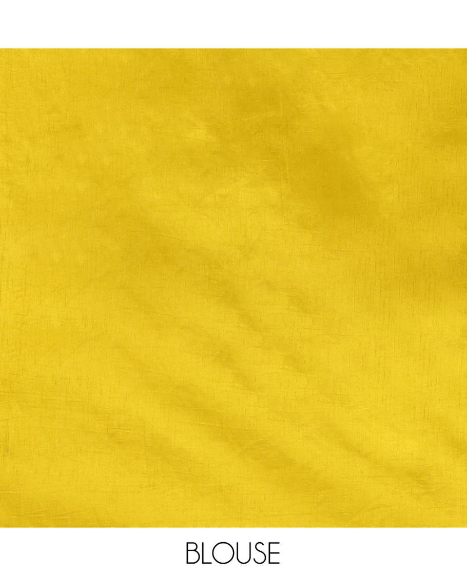 Mustard Yellow Dupion Silk Saree, Delicately Decked Up with Floral-Leaf Vine Embroidered On Its Body, Subtle Scallop Border, Artfully Floral Embroidered Pallu, and Paired with a Plain Blouse