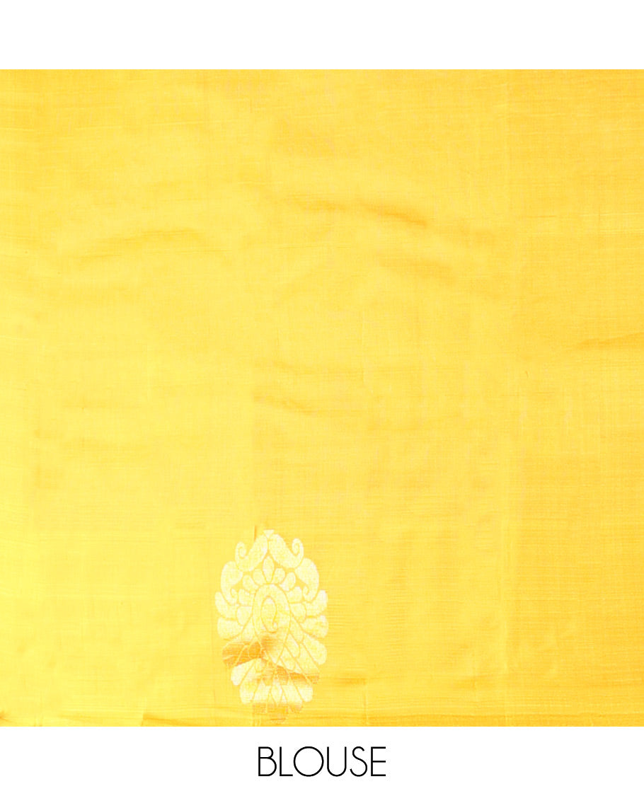 Light green kancheepuram silk sare with contrast floral design border & argyle design pallu